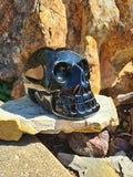 Skull - Sheen Obsidian (extra large)